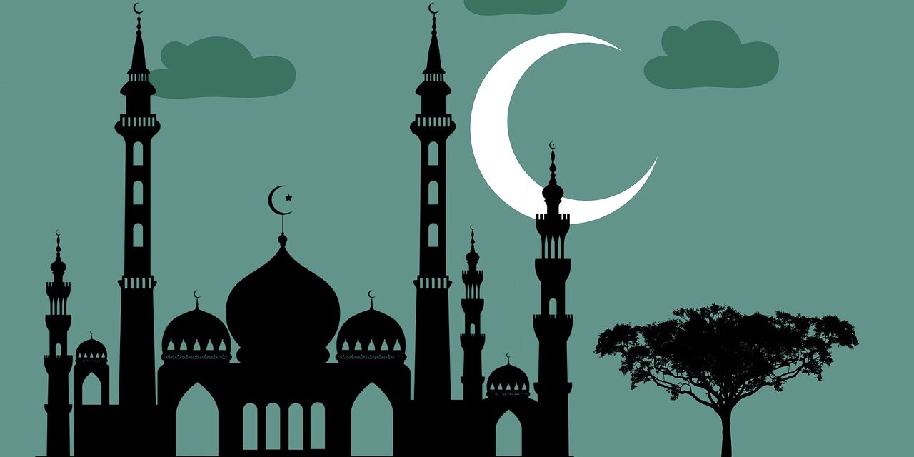 برامج رمضان اللى لازم تشوفها السنادي