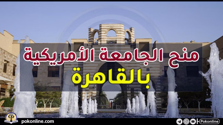 منح الجامعة الأمريكية بالقاهرة