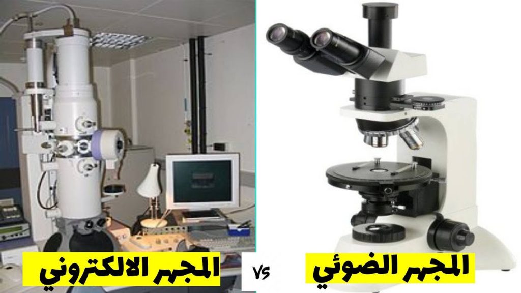 المجهر الالكتروني والمجهر الضوئي