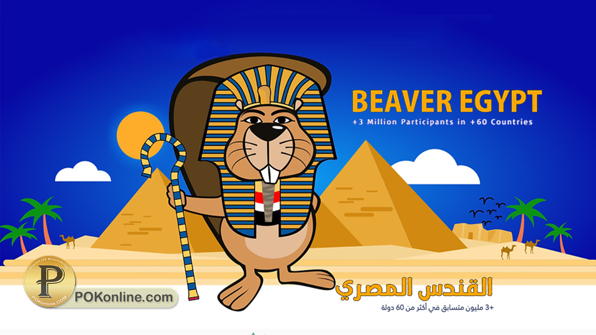 القندس المصري Beaver Egypt.. أهم مبادرات الدولة في مجال البرمجة