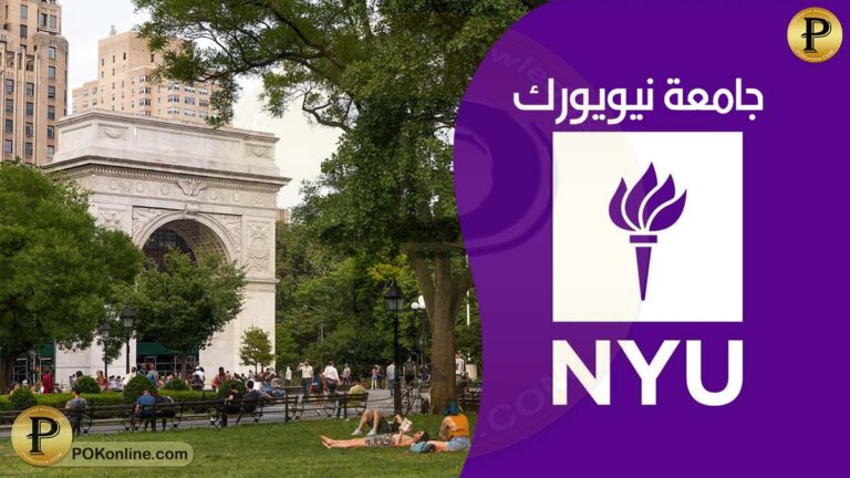 New York University