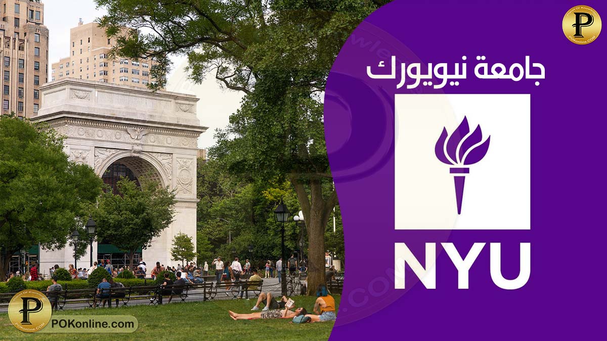 كليات جامعة نيويورك الأمريكية : جامعة غير ربحية رغم صدارتها عالميا