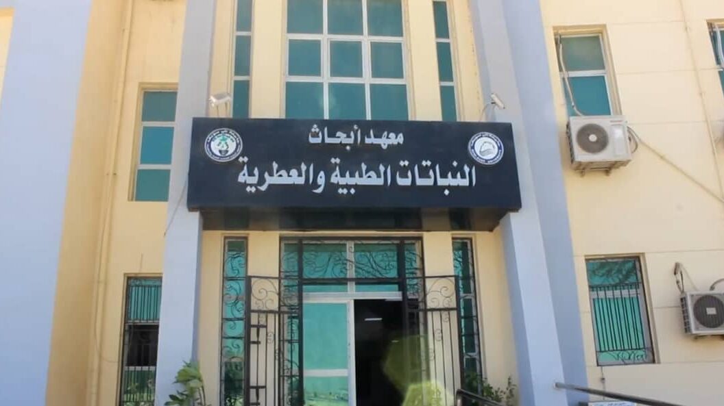 معهد النباتات الطبية والعطرية: مستقبل الصحة من قلب الطبيعة