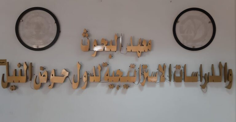 معهد دول حوض النيل