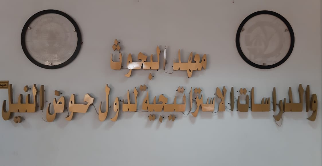 معهد دول حوض النيل